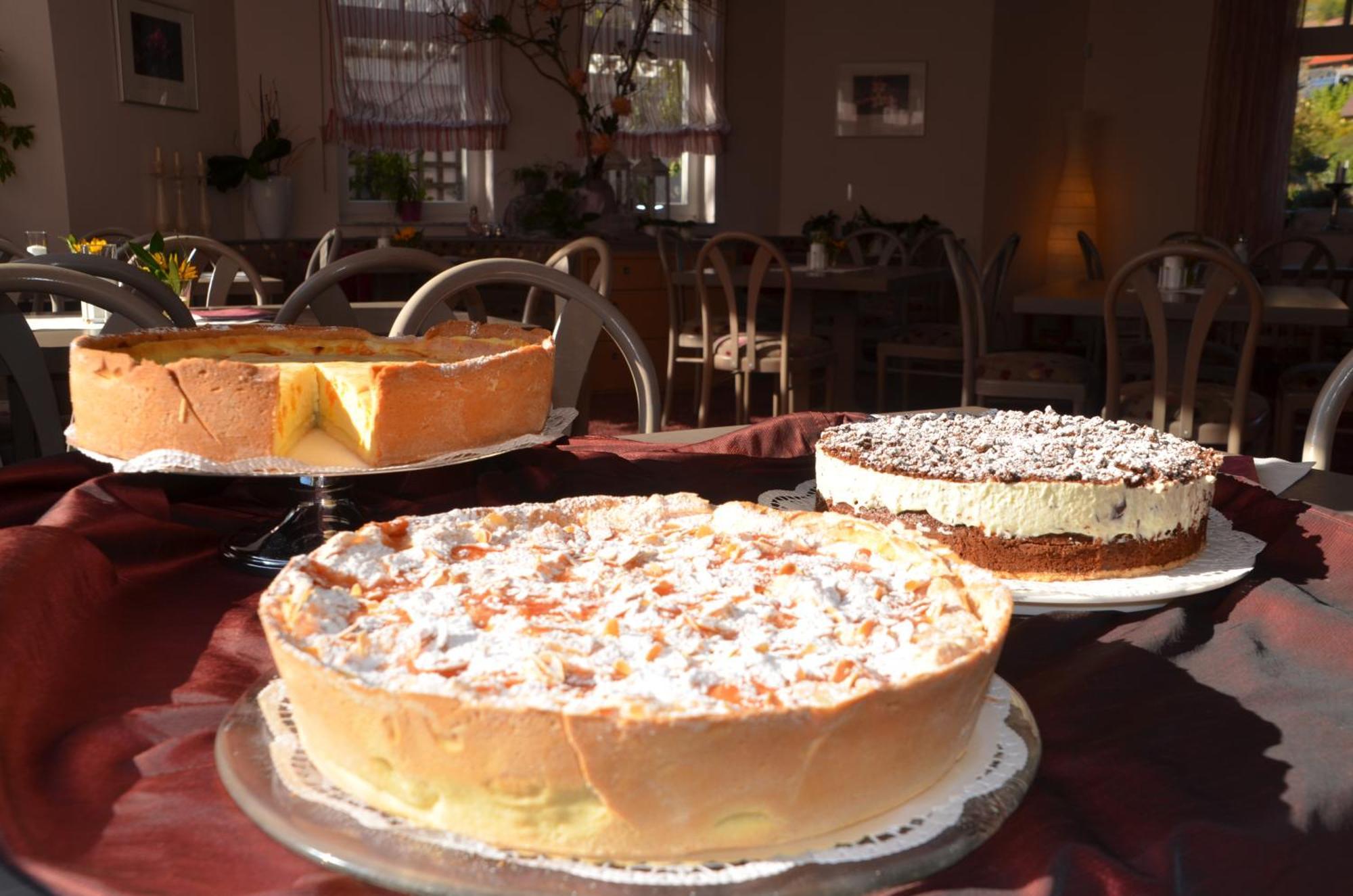 Castell Hotel & Restaurant Leinsweiler Dış mekan fotoğraf