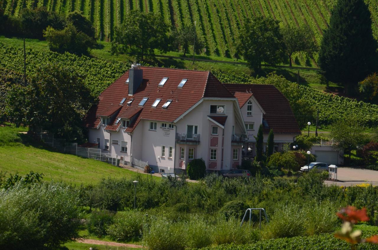 Castell Hotel & Restaurant Leinsweiler Dış mekan fotoğraf
